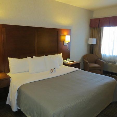 Comfort Inn San Jose International Airport Rum bild