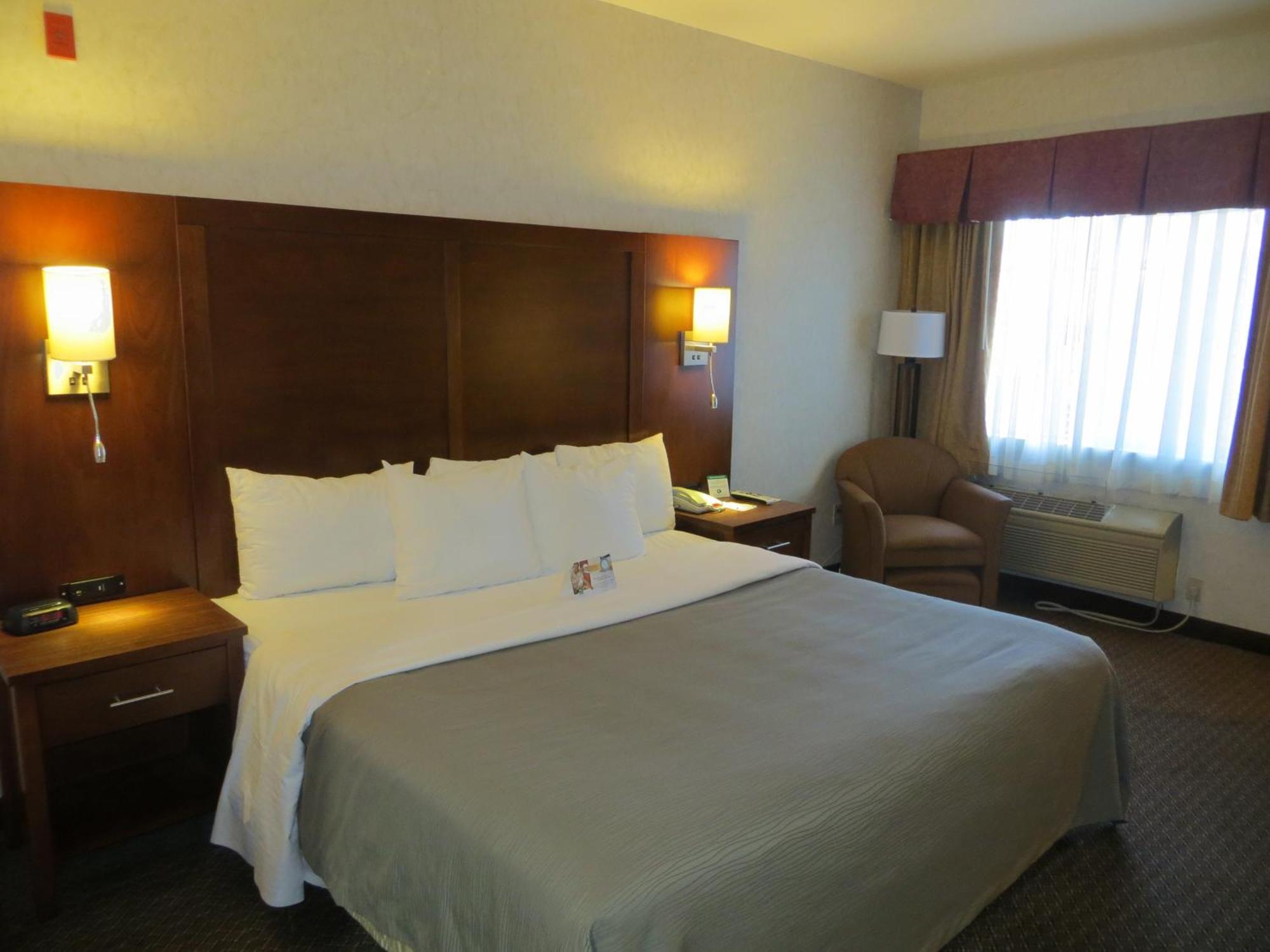 Comfort Inn San Jose International Airport Rum bild